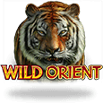 Wild Orient